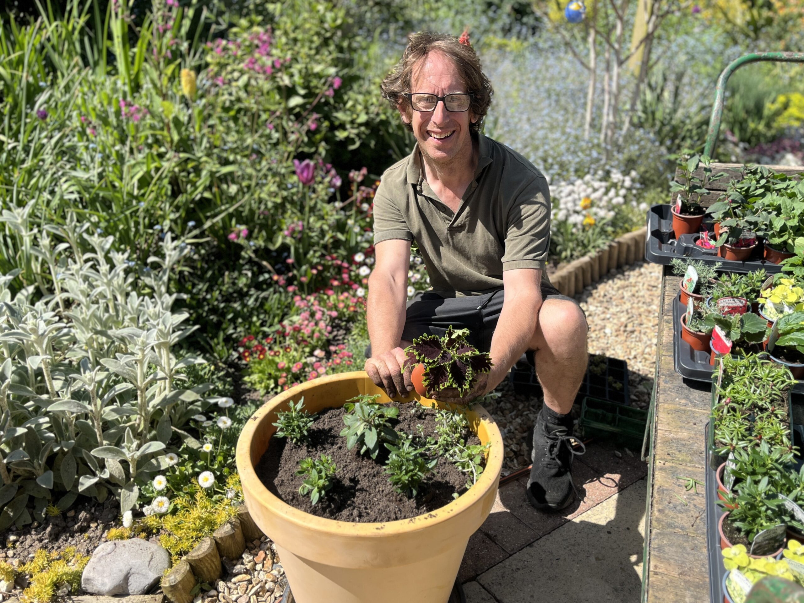 Gardener planting up large yellow pot with flowers
