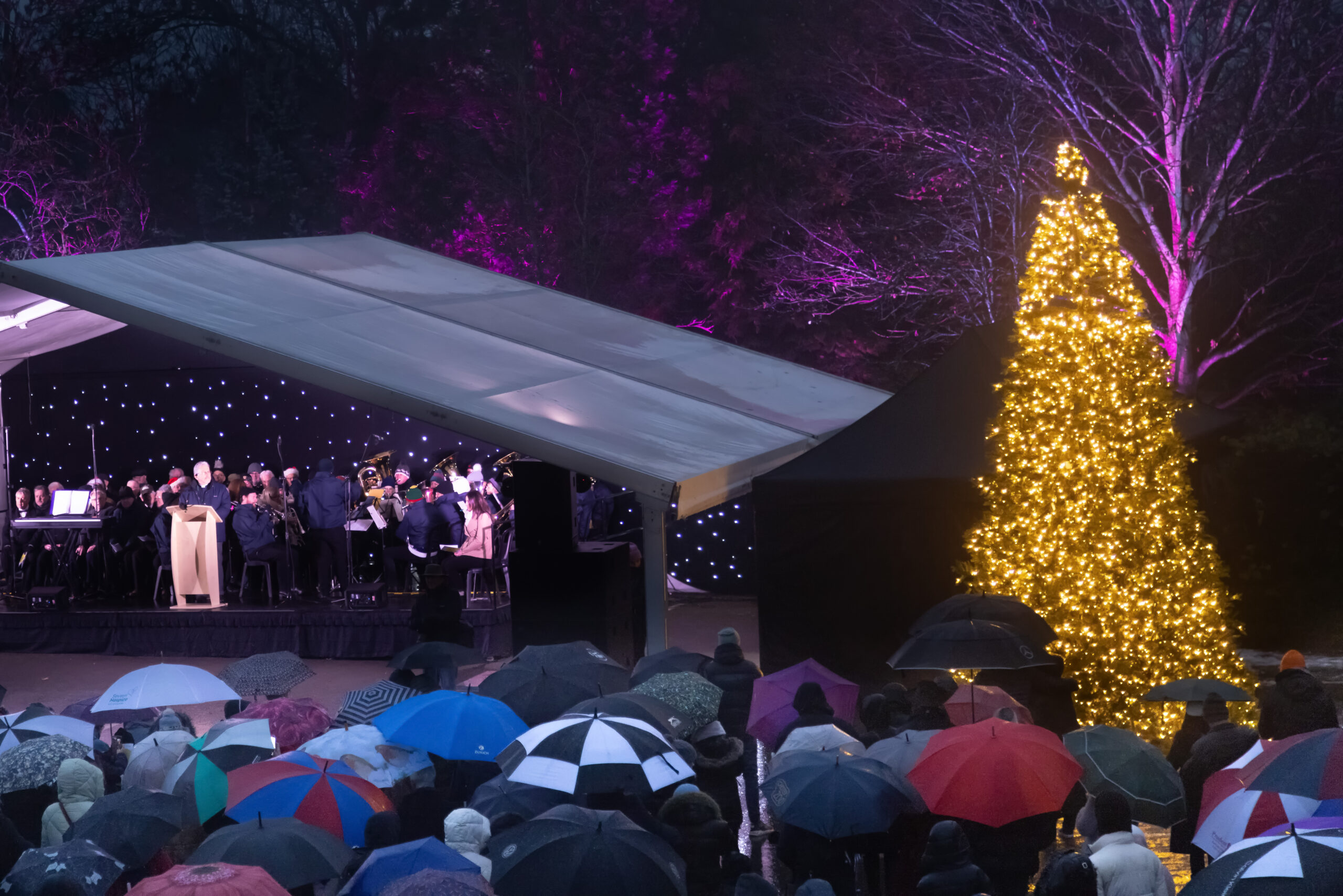 Crowds of people at Lights of Love holding umbrellas stand in front of a stage and a lit Christmas tree.