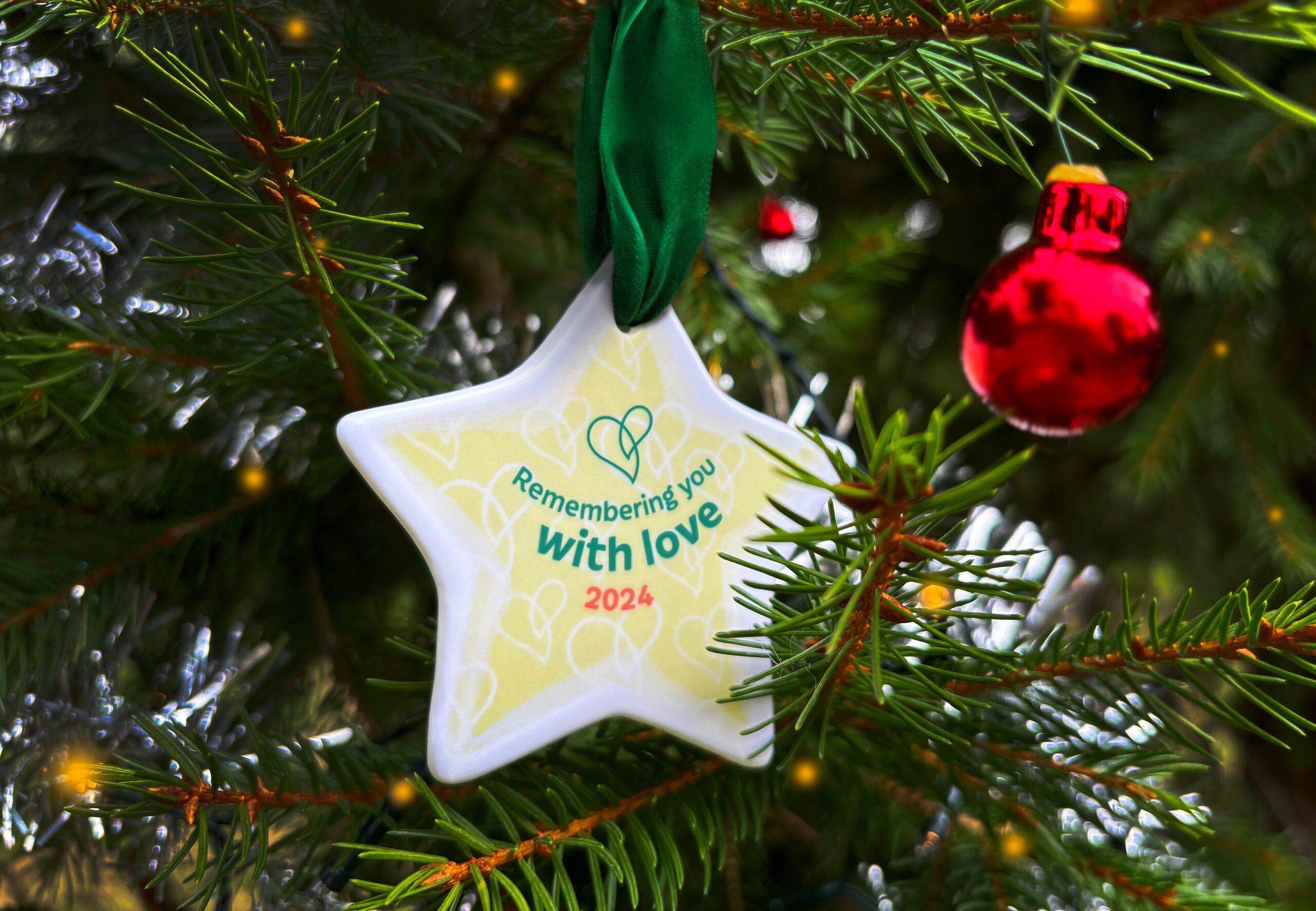 A ceramic star-shaped keepsake is hanging from a Christmas tree.